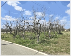  2025Ÿ��7620 ��� ���� �з��� ��ȸ� 67      ����(��1)���