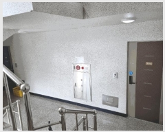  2025Ÿ��7687  ����Ʈ���