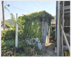  2025Ÿ��7741  ���ð��