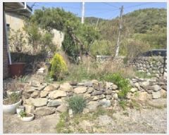  2025Ÿ��7741  ���ð��