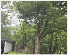  2025Ÿ��7775 ��� û���� ȭ���� ��õ�� ��76      ����(�Ӿ�)���