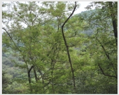  2025Ÿ��7775 ��� û���� ȭ���� ��õ�� ��76      ����(�Ӿ�)���