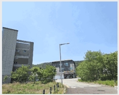  2025Ÿ7785 뱸  õ 383       ()