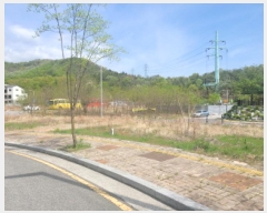  2025Ÿ7785 뱸  õ 383       ()