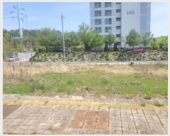  2025Ÿ7785 뱸  õ 383       ()