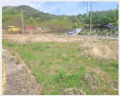  2025Ÿ7785 뱸  õ 383       ()