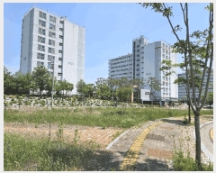  2025Ÿ7785 뱸  õ 383       ()