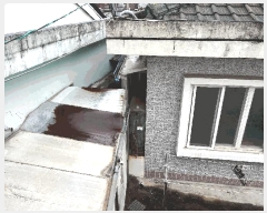  2025Ÿ��7862  ���ð��