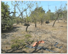  2025Ÿ��7873 ��� ���� ������ ��� 287      ����(��)���