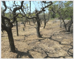  2025Ÿ��7873 ��� ���� ������ ��� 287      ����(��)���