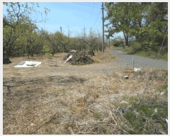  2025Ÿ��7873 ��� ���� ������ ��� 287      ����(��)���