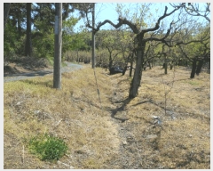  2025Ÿ��7873 ��� ���� ������ ��� 287      ����(��)���