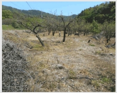  2025Ÿ��7873 ��� ���� ������ ��� 287      ����(��)���