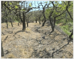  2025Ÿ��7873 ��� ���� ������ ��� 287      ����(��)���