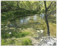  2025Ÿ��7873 ��� ���� ������ ��� 287      ����(��)���