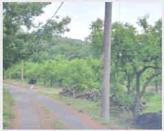  2025Ÿ��7873 ��� ���� ������ ��� 287      ����(��)���