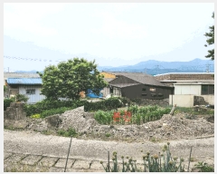  2025Ÿ��7983 ��� ��õ�� �ų�� ȭ���� 780      ����(����)���