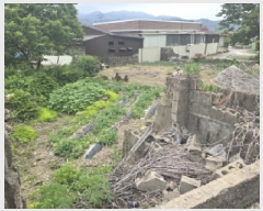  2025Ÿ��7983 ��� ��õ�� �ų�� ȭ���� 780      ����(����)���