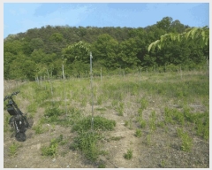  2025Ÿ��8006  ����