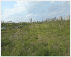  2025Ÿ��8006  ����