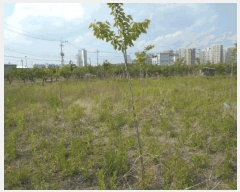  2025Ÿ��8006  ����