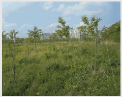  2025Ÿ��8006  ����