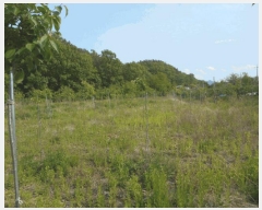  2025Ÿ��8006  ����