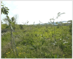  2025Ÿ��8006  ����