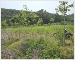  2025Ÿ��8006  ����