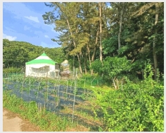  2025Ÿ��8188 �뱸 ������ ���� 246-2       ����(��1)���
