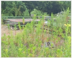  2025Ÿ��8237 ��� ���� ��õ�� �ݰ 423-66      �ٸ��ü�,�󰡰��