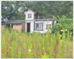  2025Ÿ��8237 ��� ���� ��õ�� �ݰ 423-66      �ٸ��ü�,�󰡰��