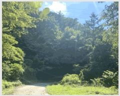  2025Ÿ��8369 ��� û���� ���ϸ� ������ ��77      ����(�Ӿ�)���