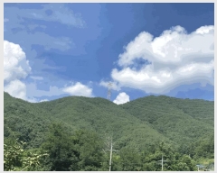  2025Ÿ��8369 ��� û���� ���ϸ� ������ ��77      ����(�Ӿ�)���