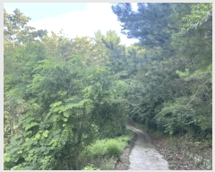  2025Ÿ��8369 ��� û���� ���ϸ� ������ ��77      ����(�Ӿ�)���