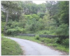  2025Ÿ��8369 ��� û���� ���ϸ� ������ ��77      ����(�Ӿ�)���