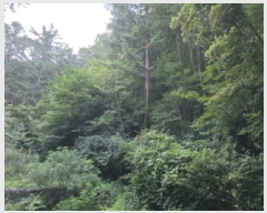  2025Ÿ��8369 ��� û���� ���ϸ� ������ ��77      ����(�Ӿ�)���