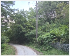  2025Ÿ��8369 ��� û���� ���ϸ� ������ ��77      ����(�Ӿ�)���