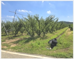  2025Ÿ��8456 ��� ��õ�� û��� ��õ�� 205      ����(��)���