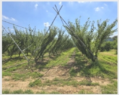  2025Ÿ��8456 ��� ��õ�� û��� ��õ�� 205      ����(��)���