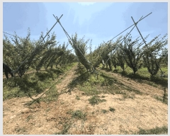  2025Ÿ��8456 ��� ��õ�� û��� ��õ�� 205      ����(��)���