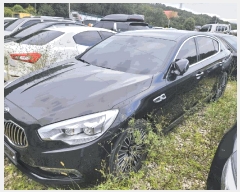  2025Ÿ8632 뱸  󸮵 295 ġ      