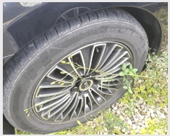  2025Ÿ8632 뱸  󸮵 295 ġ      