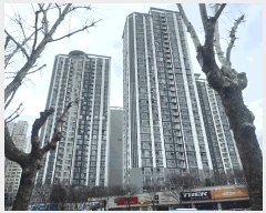  2025Ÿ570 뱸 ߱ ŵ 305-1 ¿վƳʽī̾Ʈ 101 101001ȣ    Ʈ