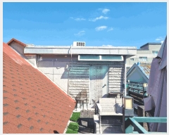  2025Ÿ��607 �뱸 ���� ����� 443-19       ���ð��