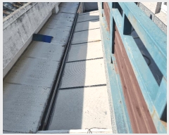  2025Ÿ��607 �뱸 ���� ����� 443-19       ���ð��