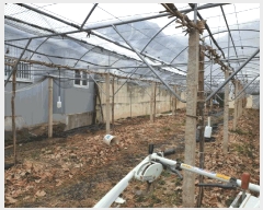  2025Ÿ��619  �����