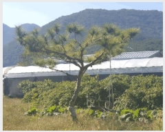  2025Ÿ��619  �����