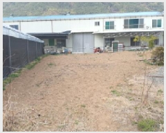  2025Ÿ��619  �����