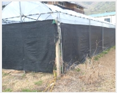  2025Ÿ��619  �����